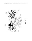 ANTIGEN BINDING PROTEINS TO PROPROTEIN CONVERTASE SUBTILISIN KEXIN TYPE 9     (PCSK9) diagram and image