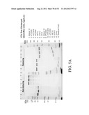 ANTIGEN BINDING PROTEINS TO PROPROTEIN CONVERTASE SUBTILISIN KEXIN TYPE 9     (PCSK9) diagram and image