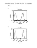 Amatoxin-Armed Tartget-Binding Moieties for the Treatment of Cancer diagram and image