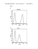 Amatoxin-Armed Tartget-Binding Moieties for the Treatment of Cancer diagram and image