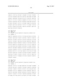 NOVEL EUROPEAN PRRSV STRAIN diagram and image