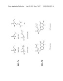 ISOLATED PON1 POLYPEPTIDES, POLYNUCLEOTIDES ENCODING SAME AND USES THEREOF     IN TREATING OR PREVENTING ORGANOPHOSPHATE EXPOSURE ASSOCIATED DAMAGE diagram and image