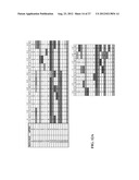 ISOLATED PON1 POLYPEPTIDES, POLYNUCLEOTIDES ENCODING SAME AND USES THEREOF     IN TREATING OR PREVENTING ORGANOPHOSPHATE EXPOSURE ASSOCIATED DAMAGE diagram and image