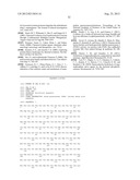 ISOLATED PON1 POLYPEPTIDES, POLYNUCLEOTIDES ENCODING SAME AND USES THEREOF     IN TREATING OR PREVENTING ORGANOPHOSPHATE EXPOSURE ASSOCIATED DAMAGE diagram and image