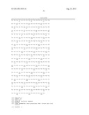 ISOLATED PON1 POLYPEPTIDES, POLYNUCLEOTIDES ENCODING SAME AND USES THEREOF     IN TREATING OR PREVENTING ORGANOPHOSPHATE EXPOSURE ASSOCIATED DAMAGE diagram and image