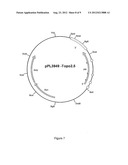 CLONING, EXPRESSION AND USE OF ACID PHOSPHOLIPASES diagram and image