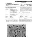 ELECTRODE MATERIALS WITH HIGH SURFACE CONDUCTIVITY diagram and image