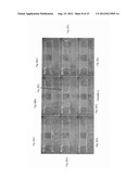 Functionally Graded Shape Memory Polymer diagram and image