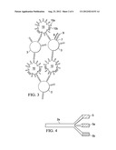 Detection of an Analyte in a Sample diagram and image