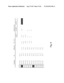 MUTATIONAL ANALYSIS diagram and image