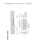 MUTATIONAL ANALYSIS diagram and image