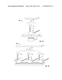 ROTATION-DEPENDENT TRANSCRIPTIONAL SEQUENCING SYSTEMS AND METHODS OF USING diagram and image