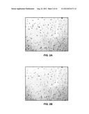 ROTATION-DEPENDENT TRANSCRIPTIONAL SEQUENCING SYSTEMS AND METHODS OF USING diagram and image