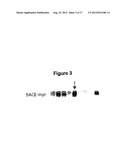 METHODS AND COMPOSITIONS FOR DETECTING AND QUANTIFYING sAPPbeta diagram and image