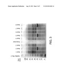 RECOMBINANT HOST CELLS HAVING AN INCREASE IN BUOYANT DENSITY diagram and image