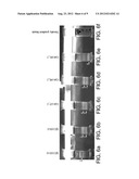 RECOMBINANT HOST CELLS HAVING AN INCREASE IN BUOYANT DENSITY diagram and image