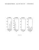 VECTORS FOR MOLECULE DELIVERY TO CD11b EXPRESSING CELLS diagram and image