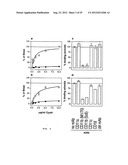 VECTORS FOR MOLECULE DELIVERY TO CD11b EXPRESSING CELLS diagram and image