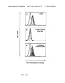 VECTORS FOR MOLECULE DELIVERY TO CD11b EXPRESSING CELLS diagram and image