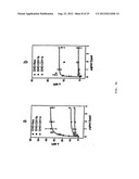 VECTORS FOR MOLECULE DELIVERY TO CD11b EXPRESSING CELLS diagram and image