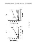 VECTORS FOR MOLECULE DELIVERY TO CD11b EXPRESSING CELLS diagram and image