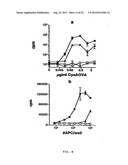 VECTORS FOR MOLECULE DELIVERY TO CD11b EXPRESSING CELLS diagram and image