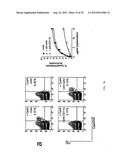 VECTORS FOR MOLECULE DELIVERY TO CD11b EXPRESSING CELLS diagram and image