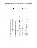 VECTORS FOR MOLECULE DELIVERY TO CD11b EXPRESSING CELLS diagram and image