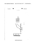 VECTORS FOR MOLECULE DELIVERY TO CD11b EXPRESSING CELLS diagram and image