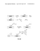 TRANSFECTION WITH MAGNETIC NANOPARTICLES AND ULTRASOUND diagram and image