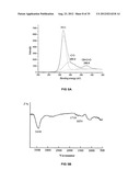 TRANSFECTION WITH MAGNETIC NANOPARTICLES AND ULTRASOUND diagram and image