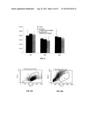 TRANSFECTION WITH MAGNETIC NANOPARTICLES AND ULTRASOUND diagram and image