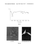 TRANSFECTION WITH MAGNETIC NANOPARTICLES AND ULTRASOUND diagram and image