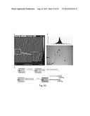 TRANSFECTION WITH MAGNETIC NANOPARTICLES AND ULTRASOUND diagram and image