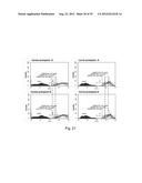 TRANSFECTION WITH MAGNETIC NANOPARTICLES AND ULTRASOUND diagram and image