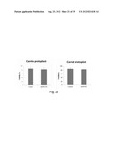 TRANSFECTION WITH MAGNETIC NANOPARTICLES AND ULTRASOUND diagram and image