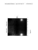 ZINC FINGER NUCLEASE MODIFICATION OF LEUCINE RICH REPEAT KINASE 2 (LRRK2)     MUTANT FIBROBLASTS AND IPSCS diagram and image