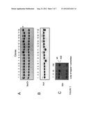 ZINC FINGER NUCLEASE MODIFICATION OF LEUCINE RICH REPEAT KINASE 2 (LRRK2)     MUTANT FIBROBLASTS AND IPSCS diagram and image