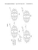 MACROCYCLIC HOPO CHELATORS diagram and image