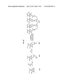 MACROCYCLIC HOPO CHELATORS diagram and image