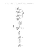 MACROCYCLIC HOPO CHELATORS diagram and image