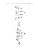 MACROCYCLIC HOPO CHELATORS diagram and image