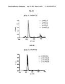 MACROCYCLIC HOPO CHELATORS diagram and image