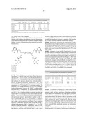 MACROCYCLIC HOPO CHELATORS diagram and image