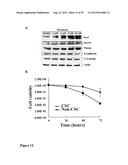 COMPOSITIONS AND METHODS FOR DETECTING AND TREATING PROSTATE CARCINOMA diagram and image