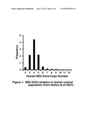 BETA-DEFENSIN 2 GENETIC VARIATION PREDICTS H. PYLORI SUSCEPTIBILITY diagram and image