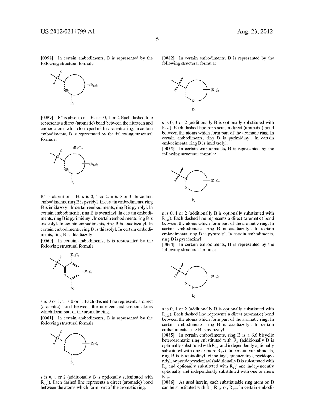 KINASE INHIBITORS - diagram, schematic, and image 06