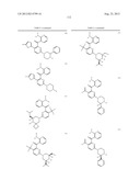 KINASE INHIBITORS diagram and image