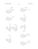 KINASE INHIBITORS diagram and image