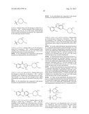 KINASE INHIBITORS diagram and image